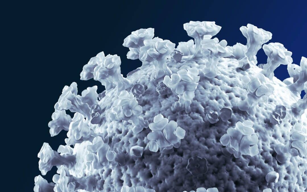 Firm Update on COVID-19 and Updates on Court Closures